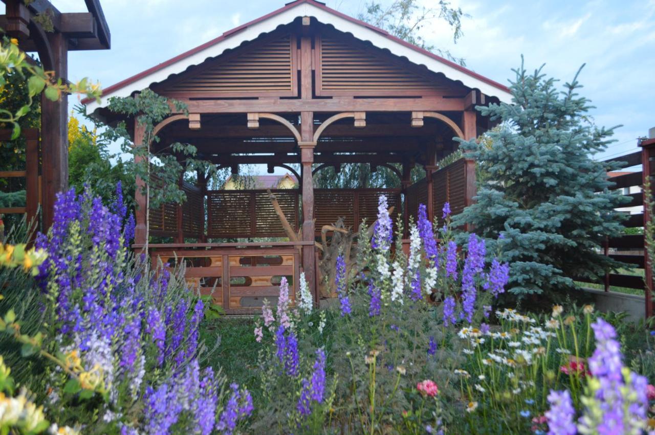 Cabane De Lemn Костинешти Экстерьер фото